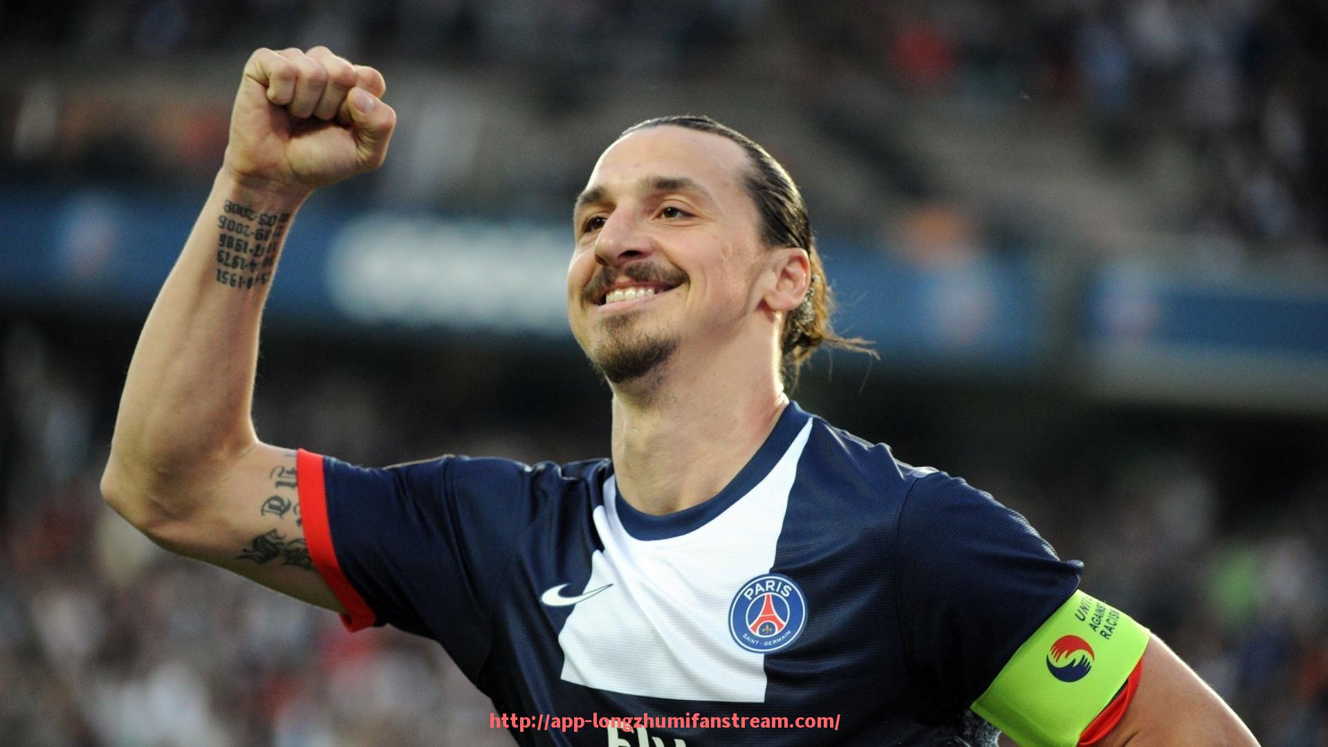 龙珠直播-意甲与法甲目前的参赛球队及差异分析