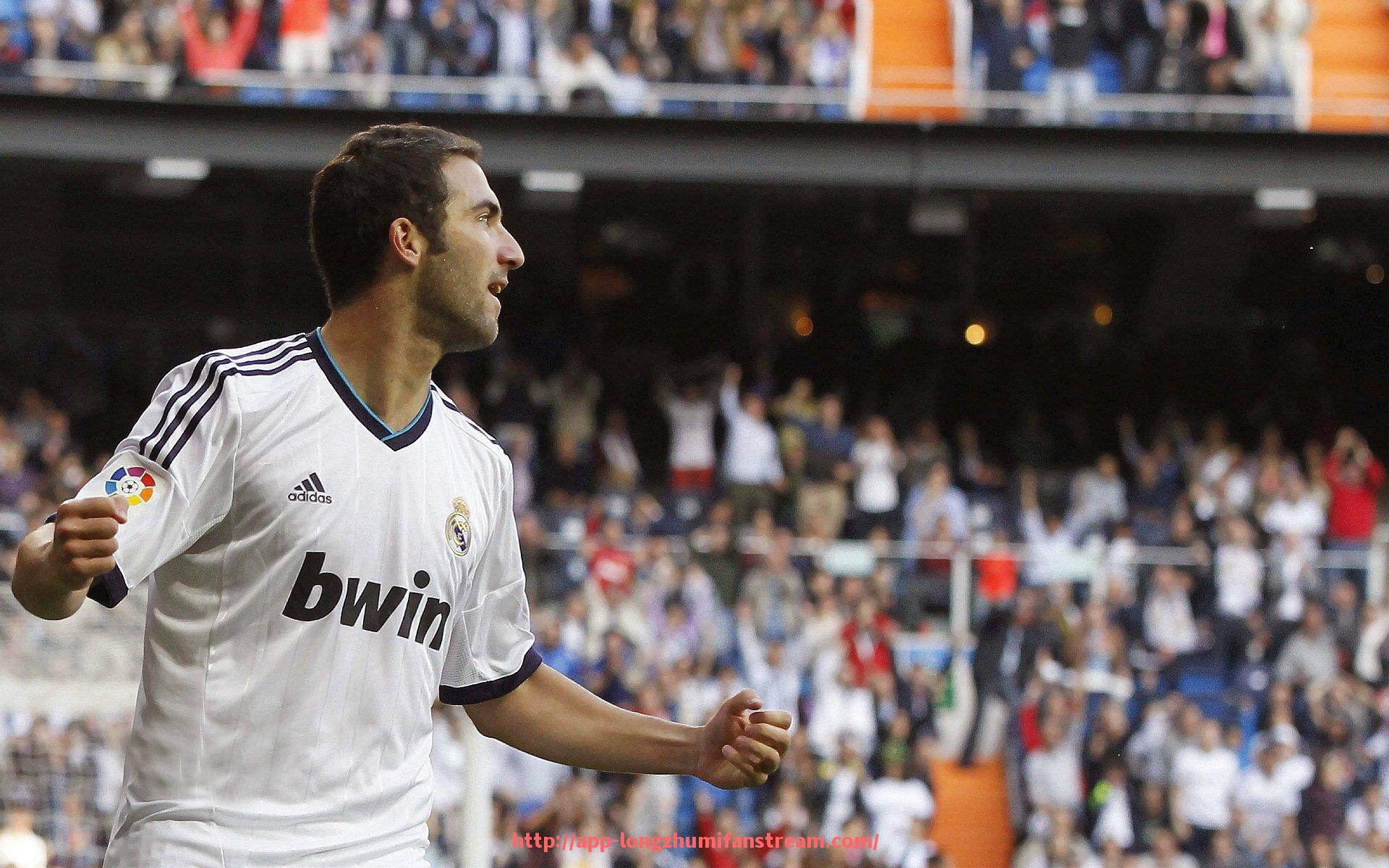 龙珠直播-德甲所有球队绰号大全及其历史文化背景