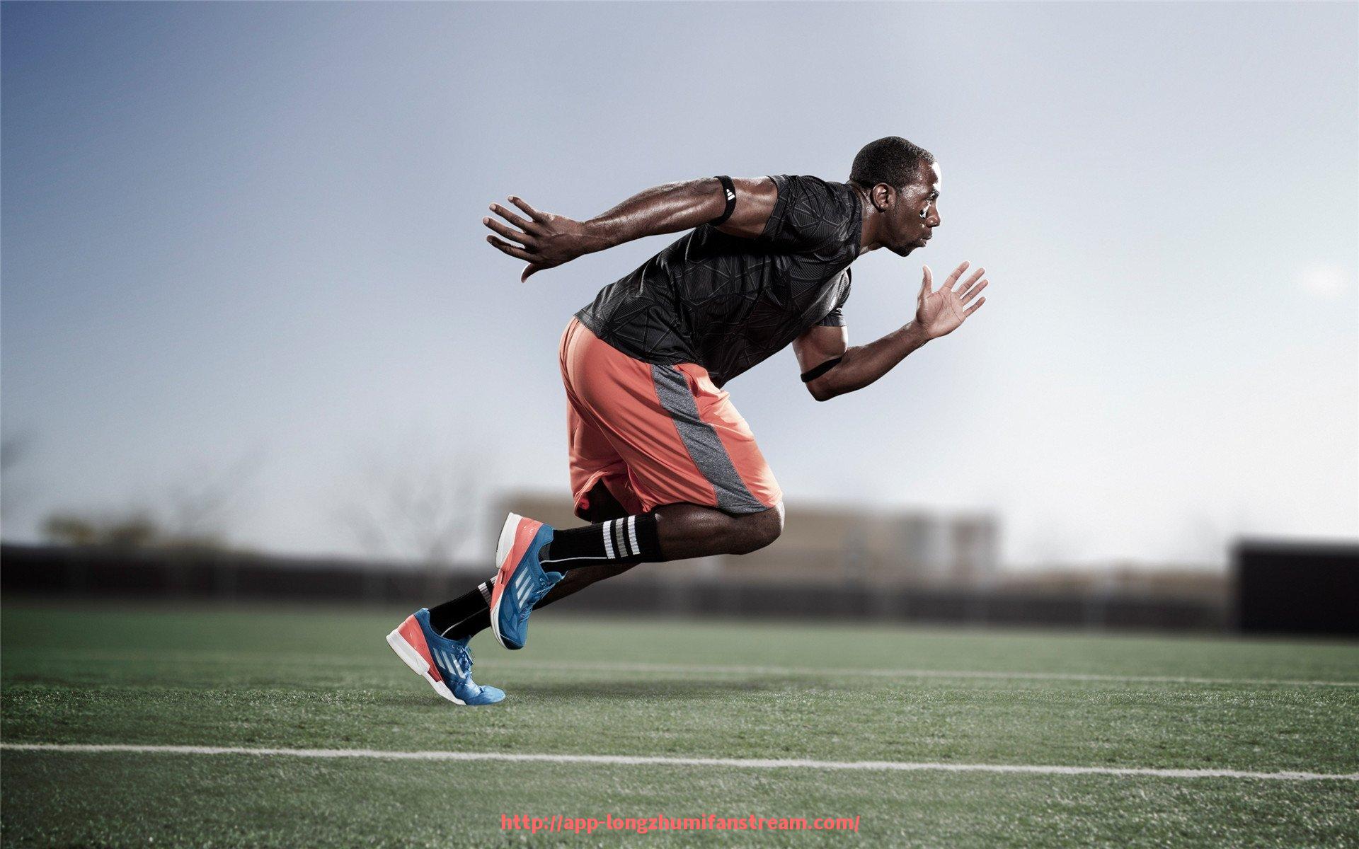 龙珠直播-意甲各支球队最新阵容数据分析与统计表