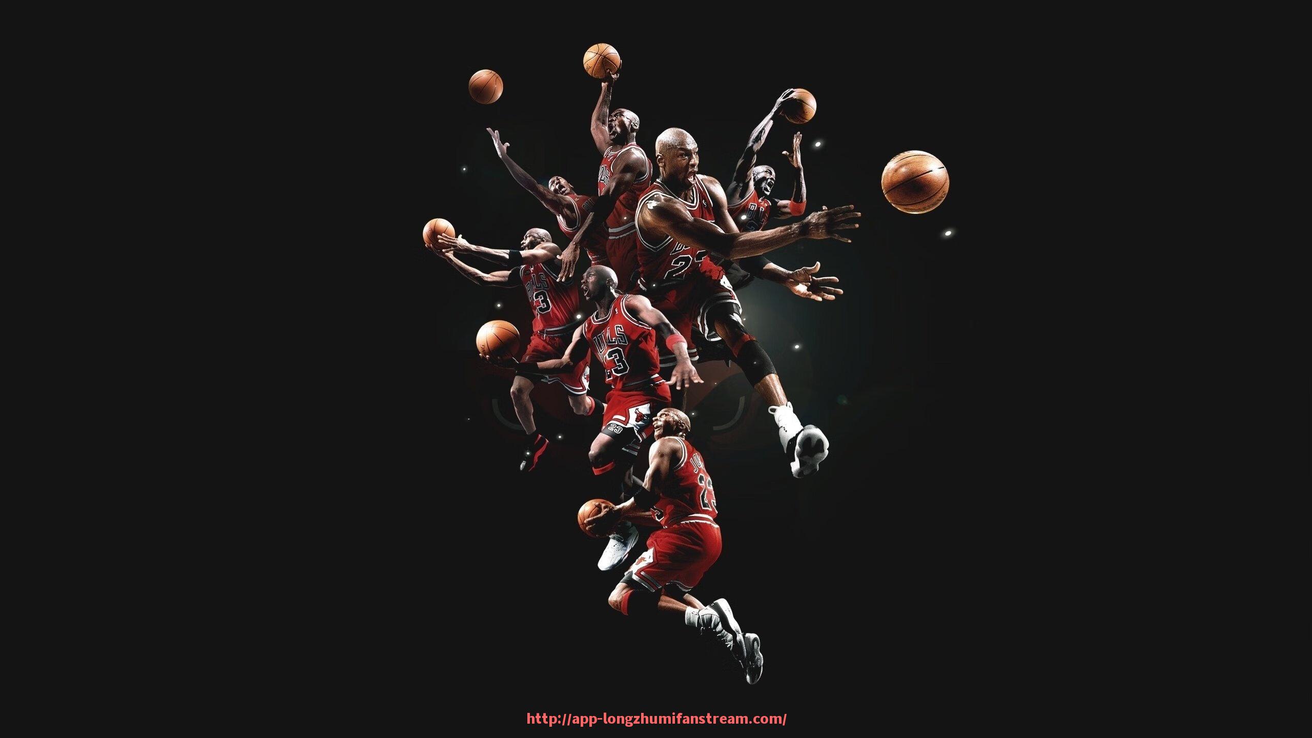 龙珠直播-肉嗨健身器材用户体验反馈与使用效果分析