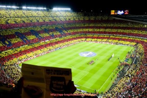 龙珠直播-世俱杯球迷环保观赛倡议：共建绿色赛事环境