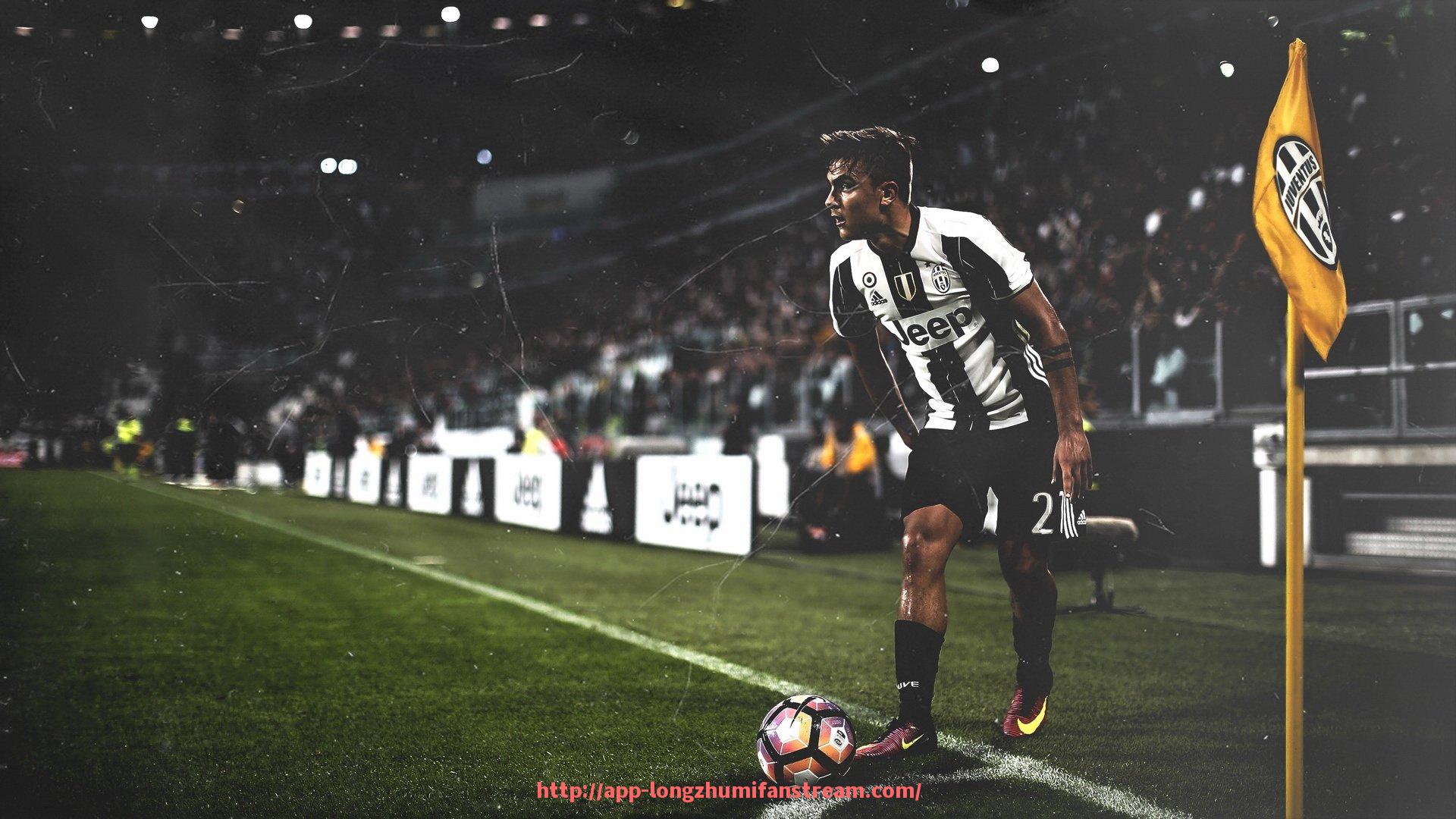 龙珠直播-场馆导览全图发布：世俱杯主场功能区与观众动线分析