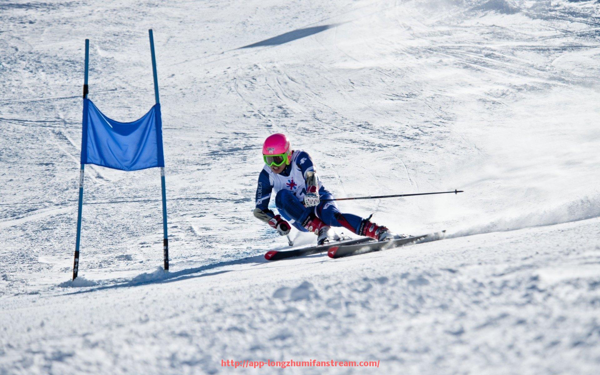 龙珠直播-沈阳主城区室外健身器材配置情况